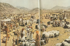 Photo of Abdul Gafur, National Geography